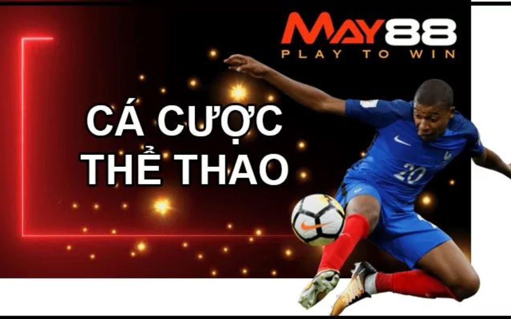 Đánh giá chất lượng của Site cá cược May88
